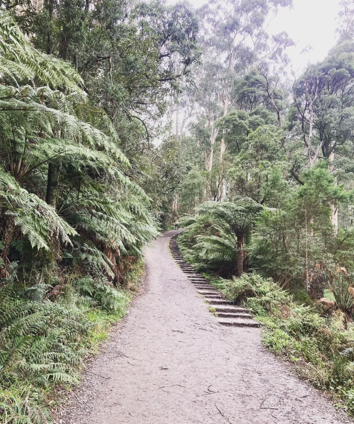 1000 Steps Walk