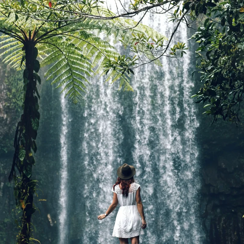 3 day cairns rainforest breakout