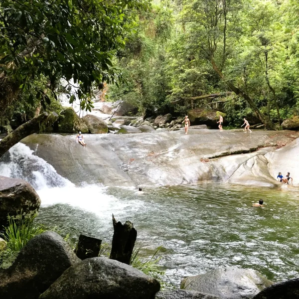3 day cairns to daintree tour