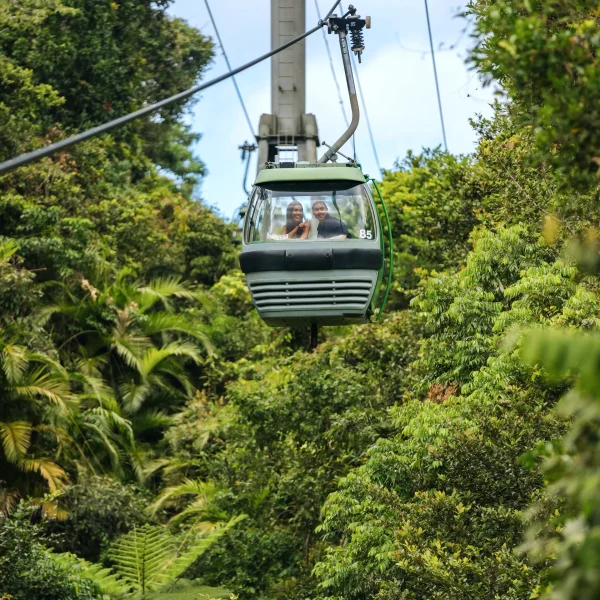3 day cairns to sydney road tour