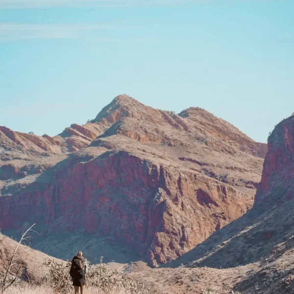 5 Day Larapinta Walking Trip