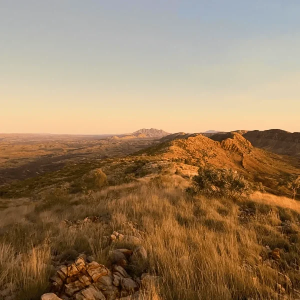5 Day Larapinta Walking Trips