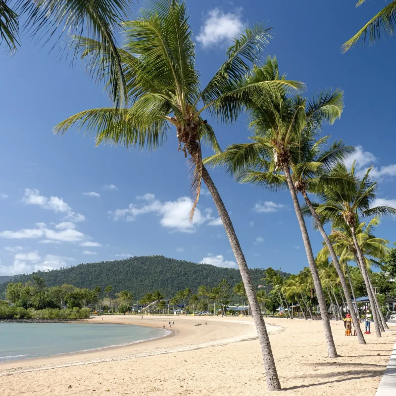 7 day brisbane to cairns tour