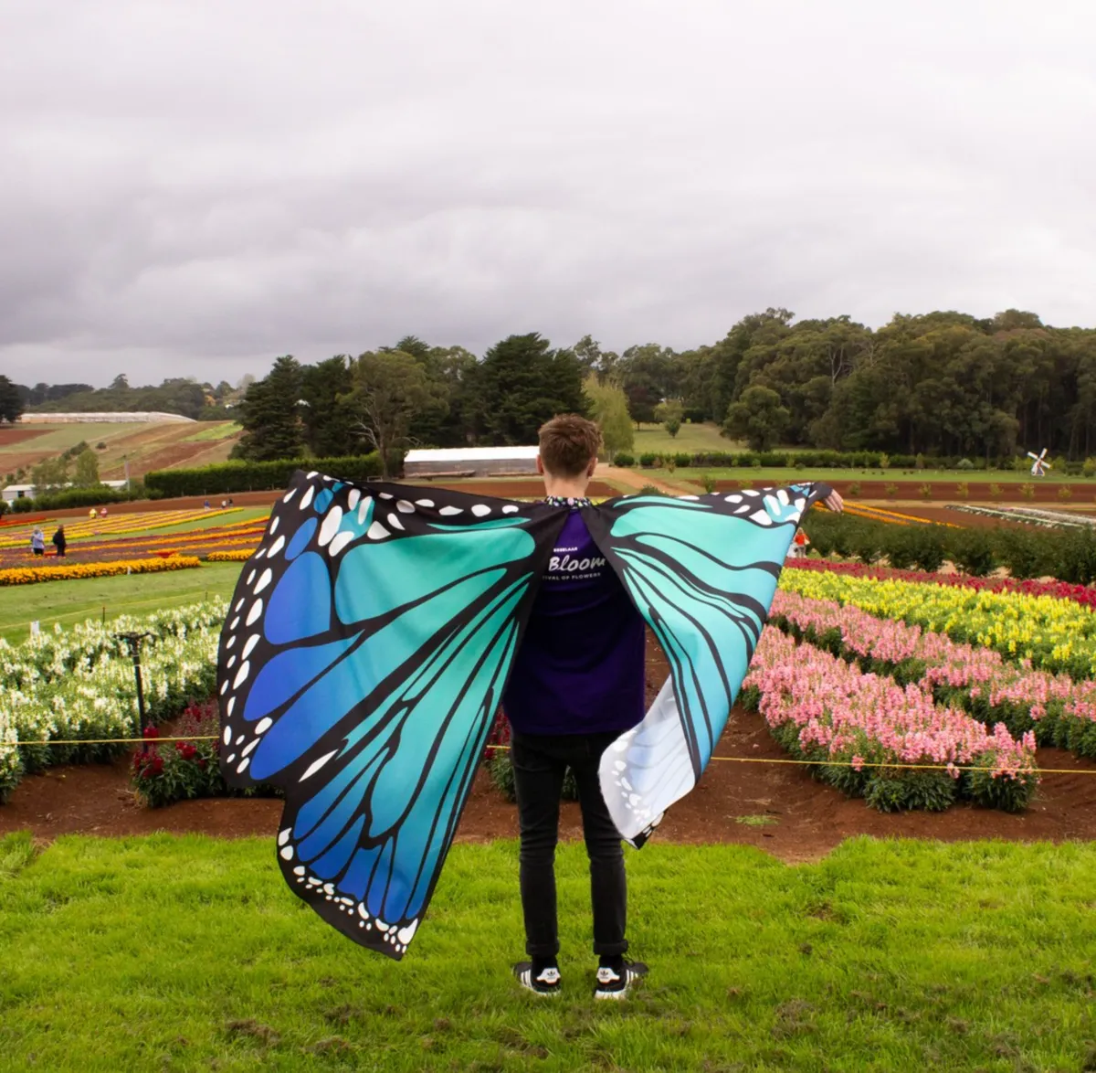 A Garden of Wonder Tesselaar KaBloom
