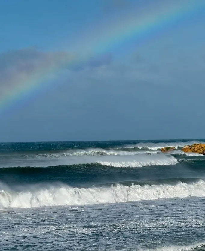 A Surfing Obsession