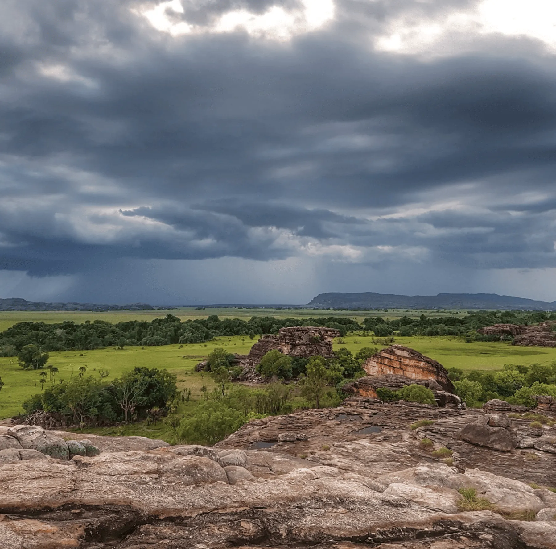 Adaptive Management Through AI