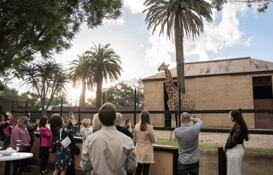 Adelaide Zoo