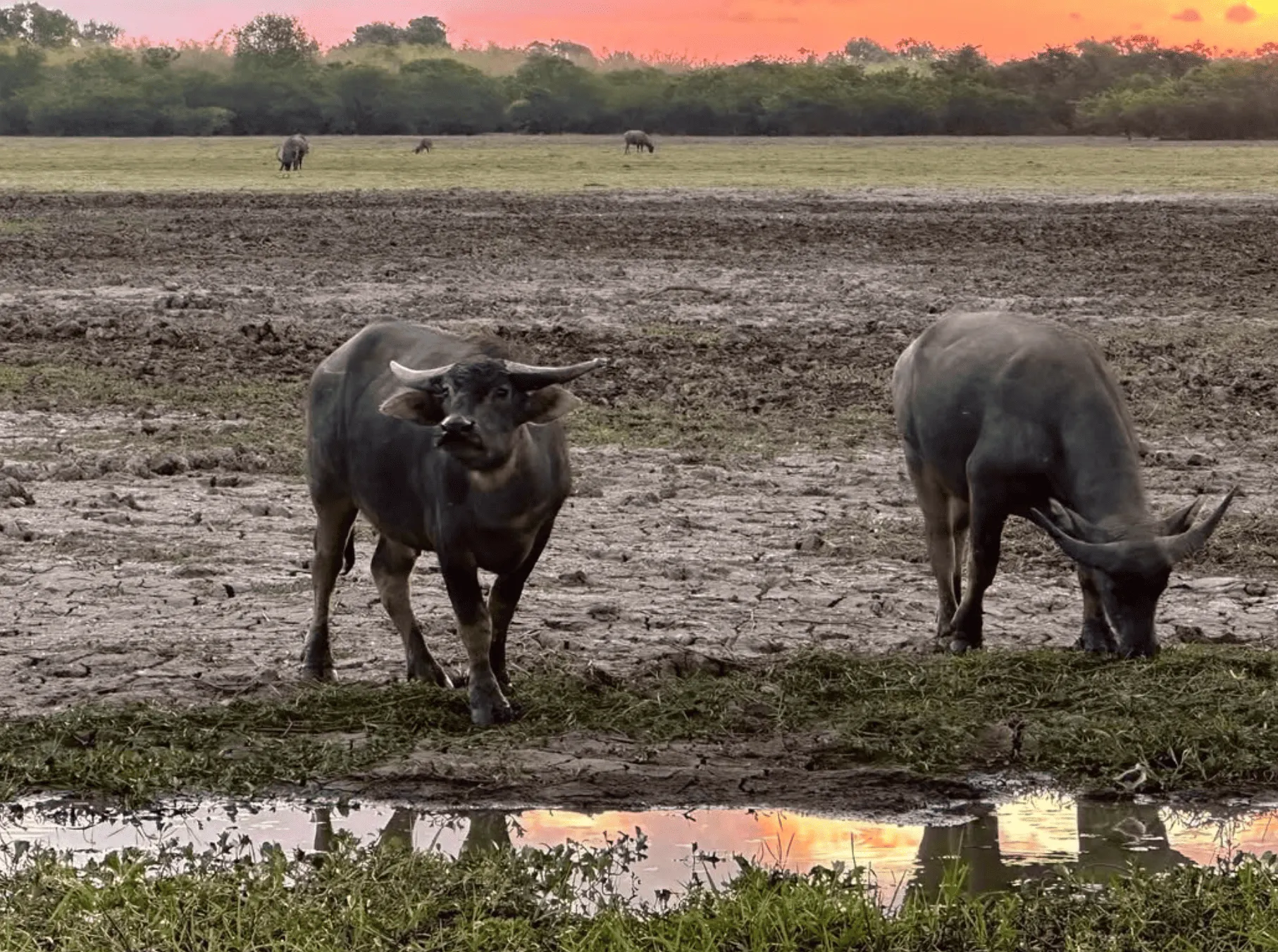 Adventure and Activities in Kakadu’s Wetlands