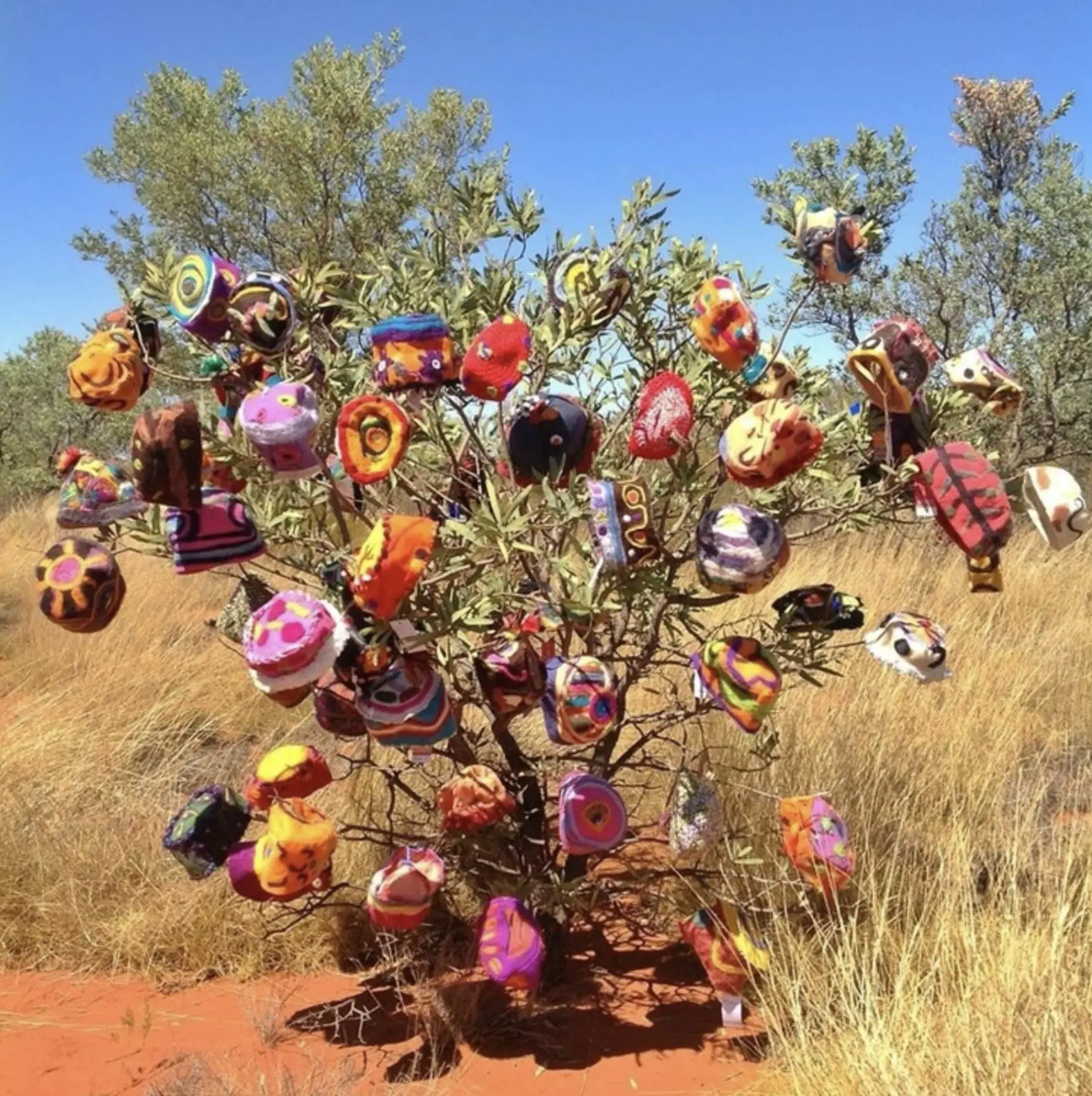 Alice Springs Beanie Festival