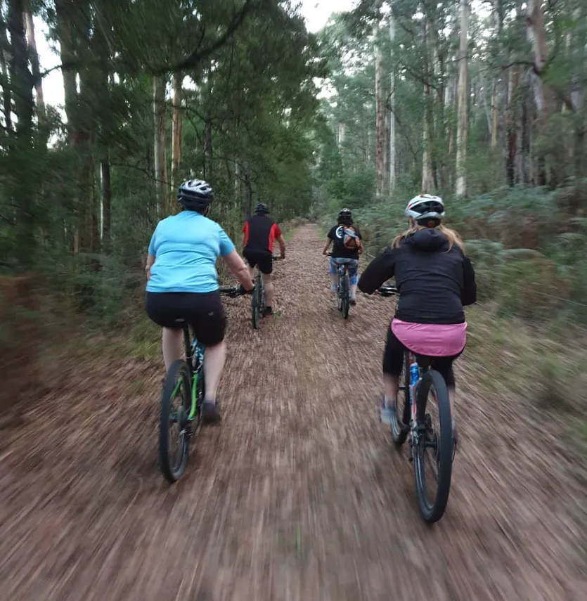 All-Terrain Adventures