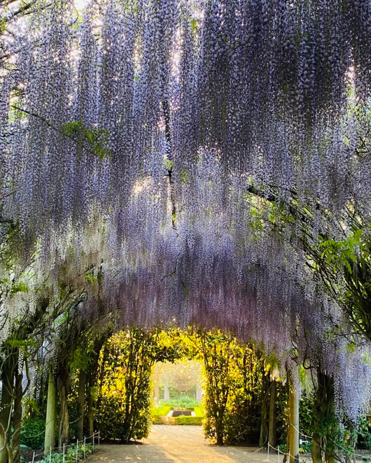Alowyn Gardens Yarra Glen