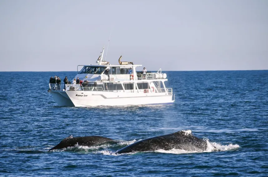 Annual Migration