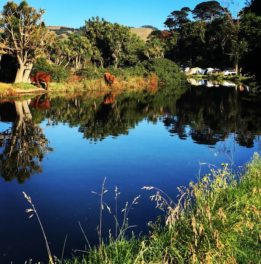 Apollo Bay Recreation Reserve