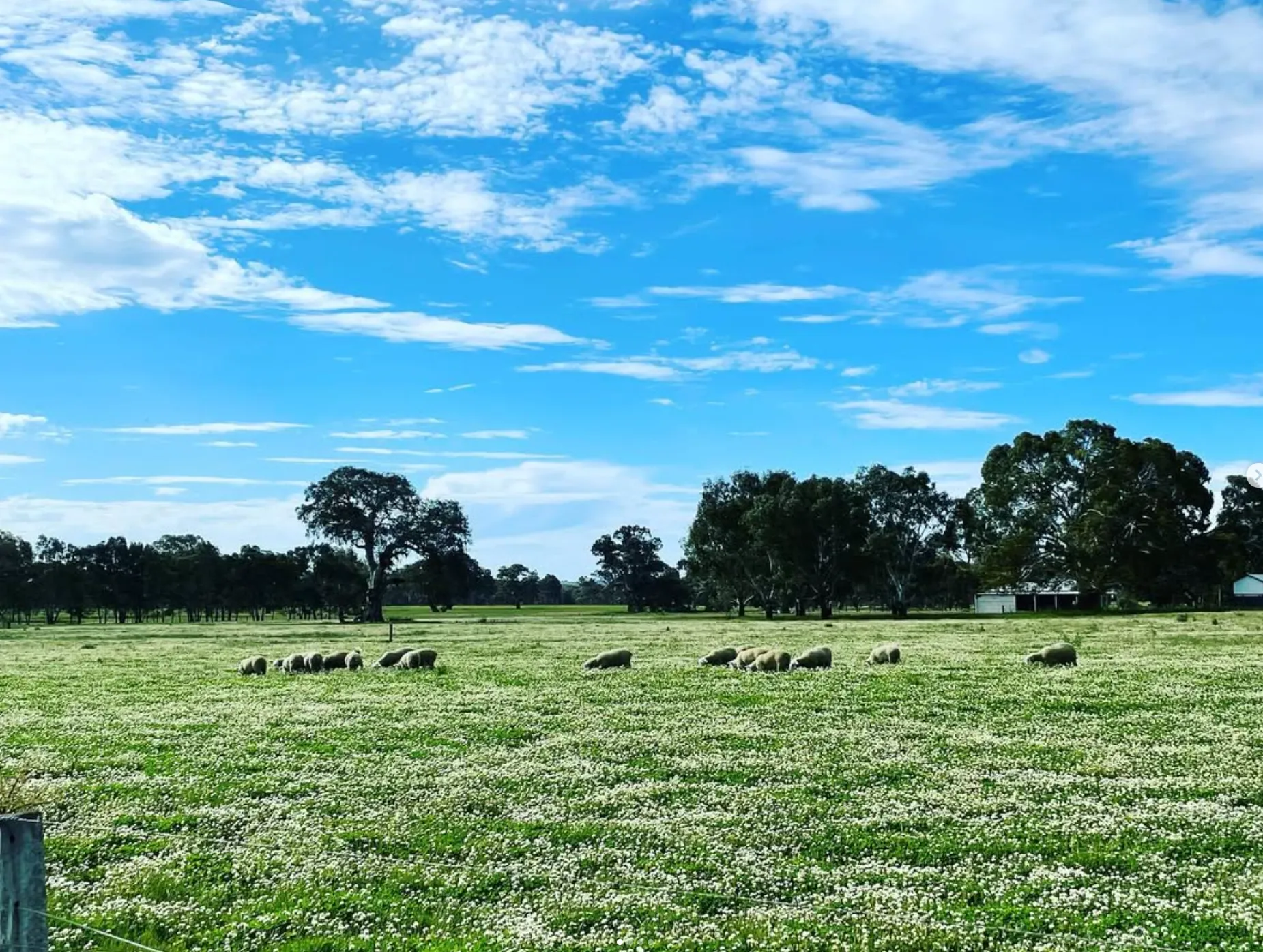 Around the Grampians