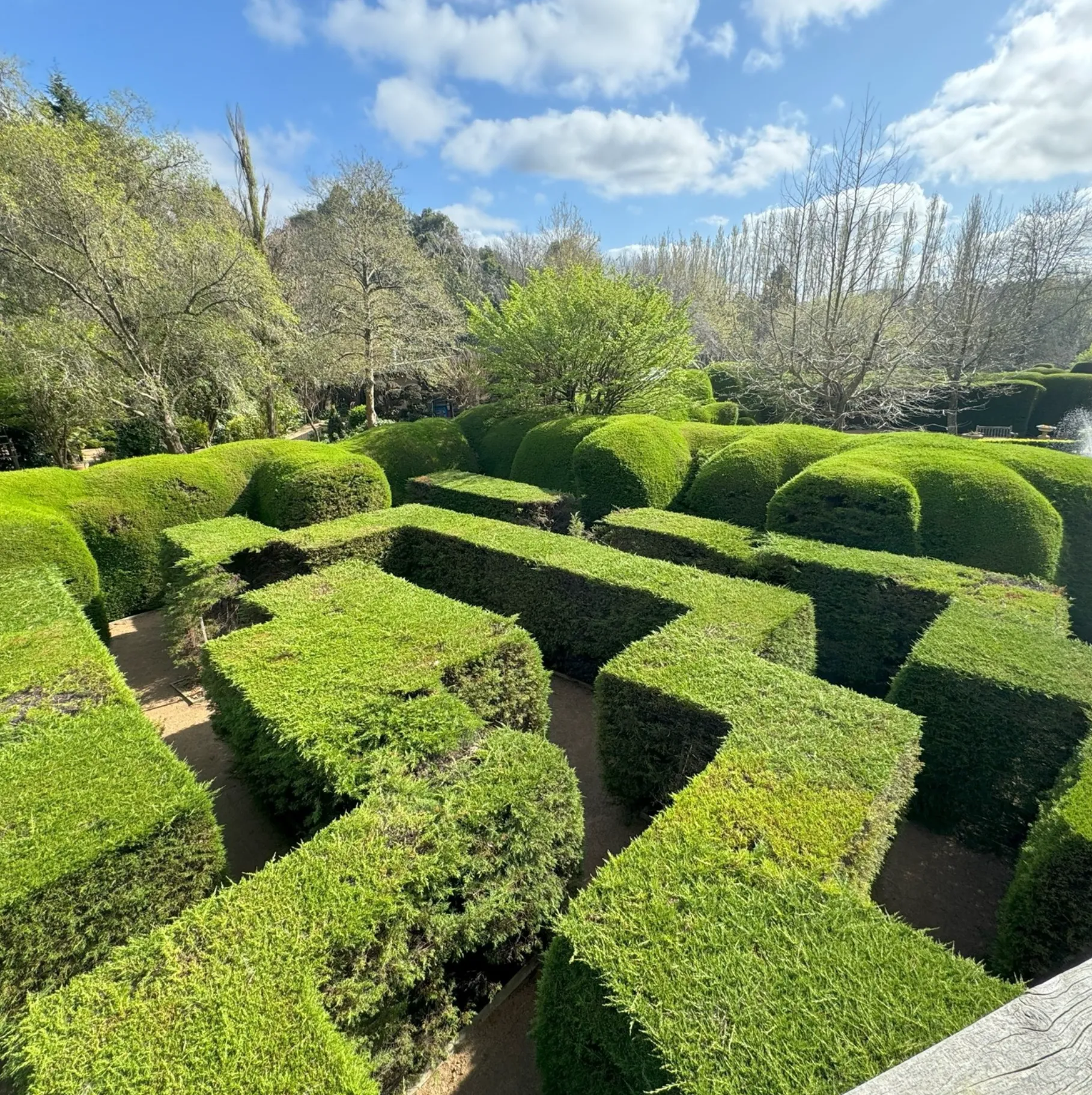 Ashcombe Maze & Gardens