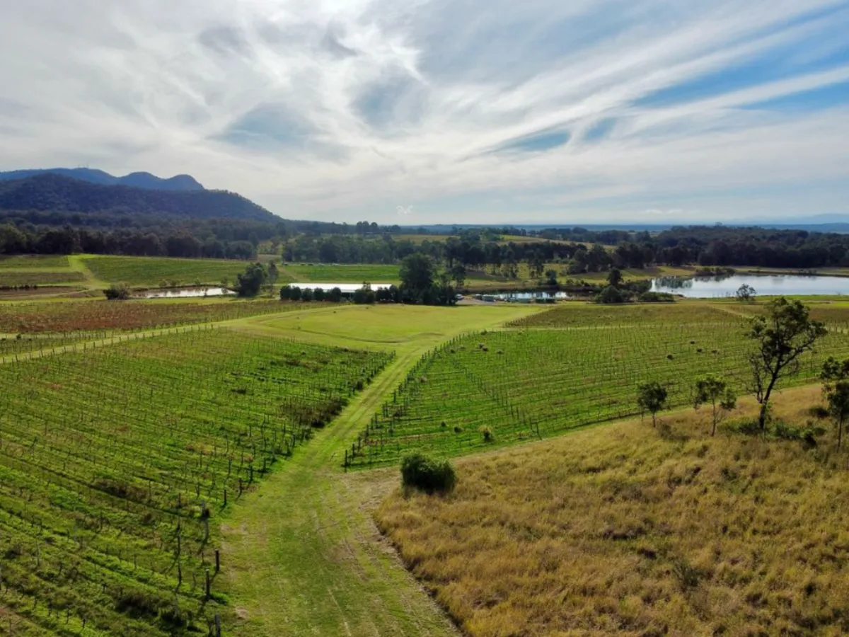 Audrey Wilkinson Winery