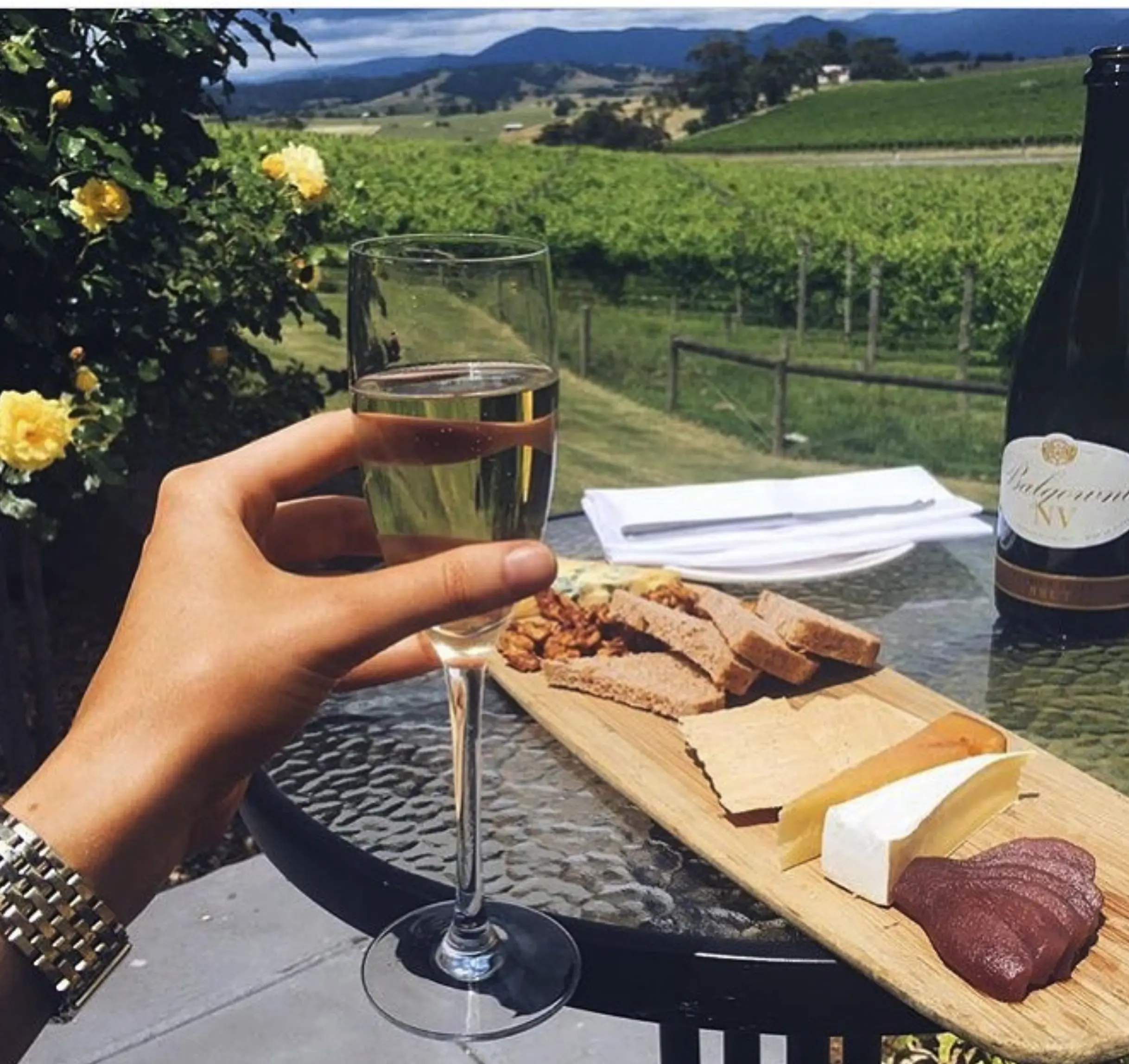 Balgownie Estate Yarra Valley