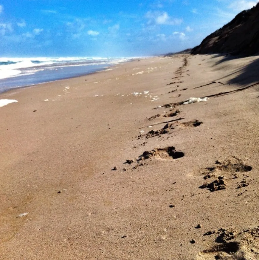 Beaches and Coastlines