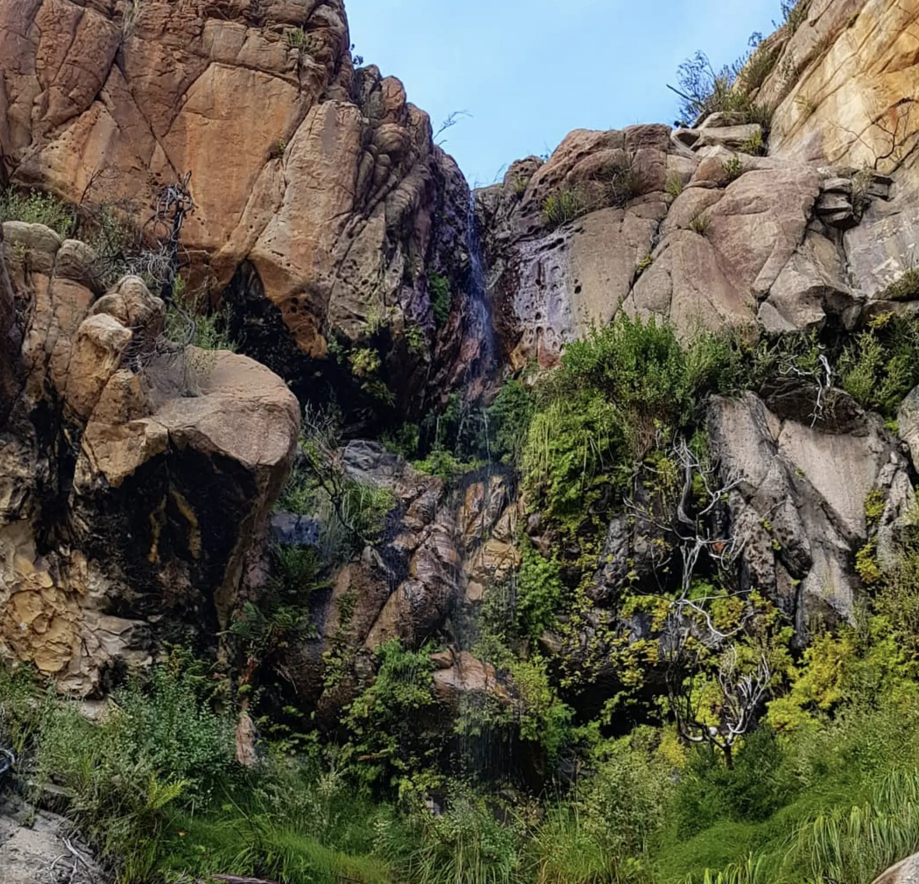 Beehive Falls Trail