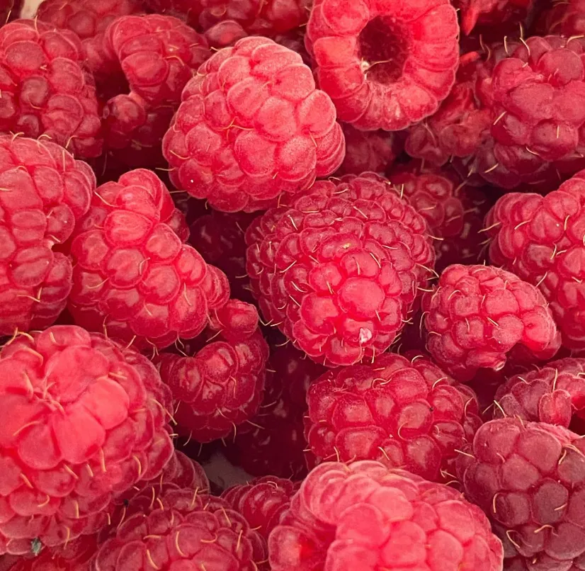 Berry Picking Tips