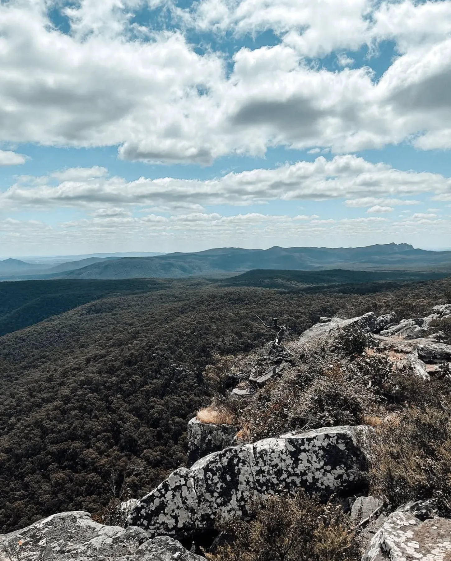 Best Time to Visit Reed Lookout