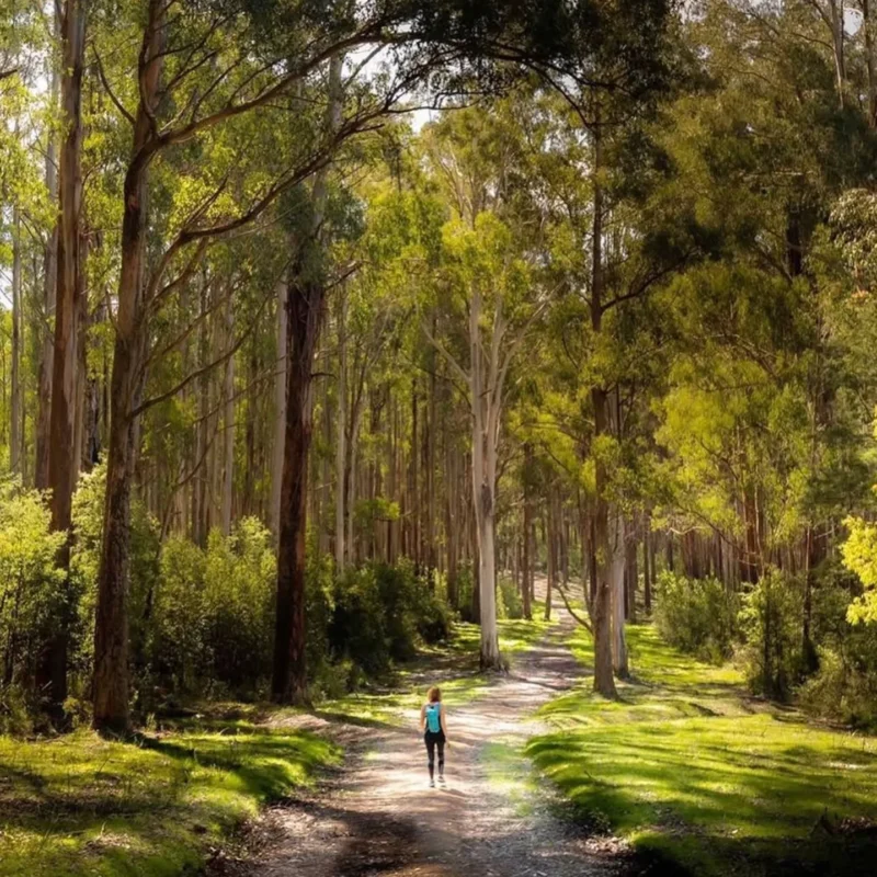 Black Range State Park, Grampians