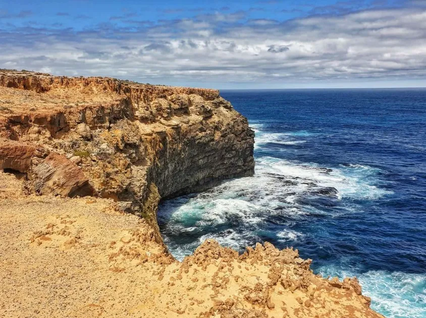 Blowholes