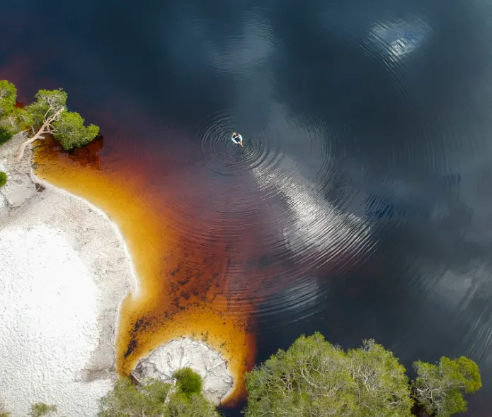 Brown Lake
