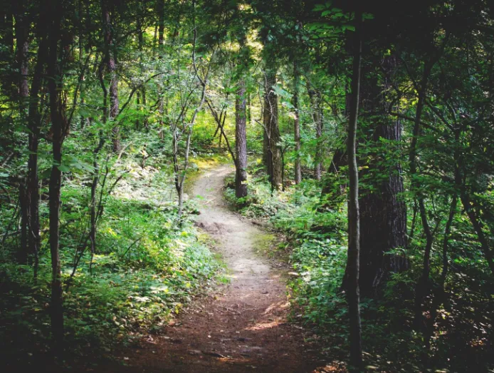 Brunel Woods
