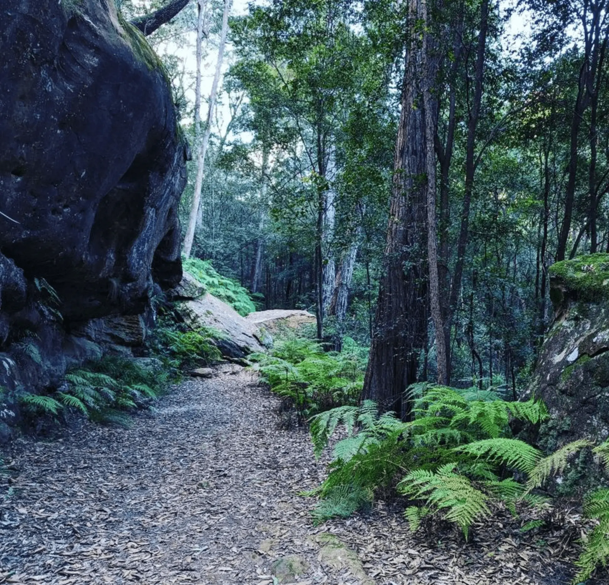 blue mountains things to do