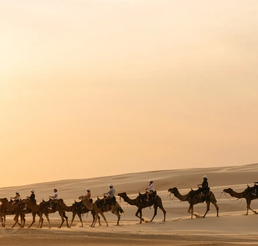 Camel riding is available at Birubi Beach