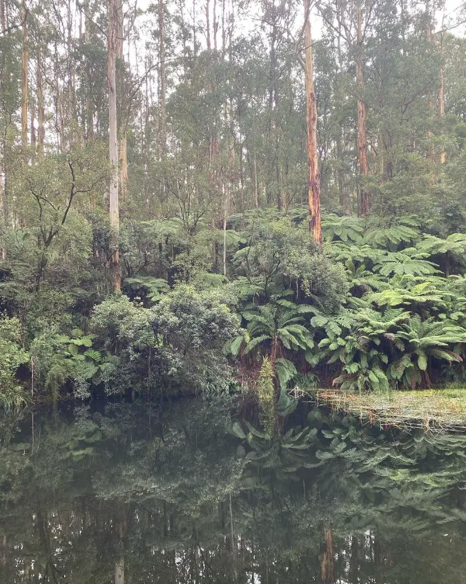Camperdown and Colac