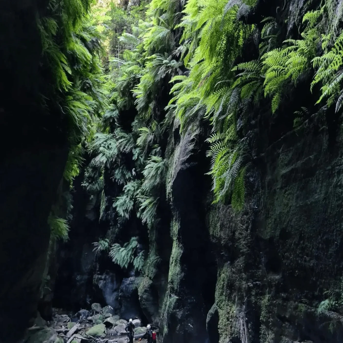 things to see in the blue mountains