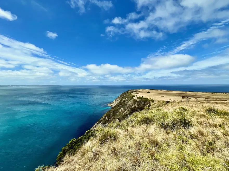 Cape Bridgewater