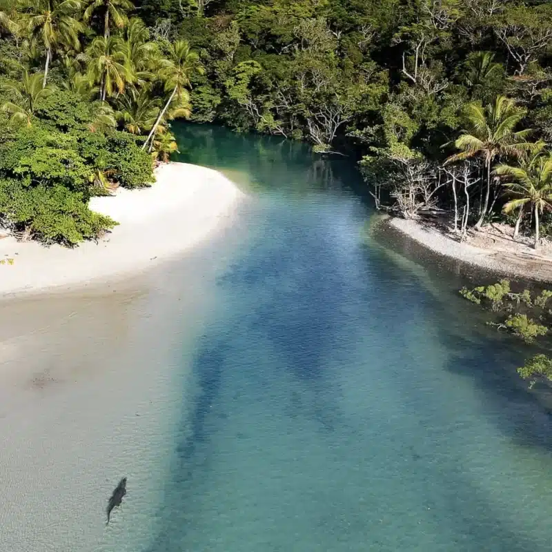 Cape Tribulation