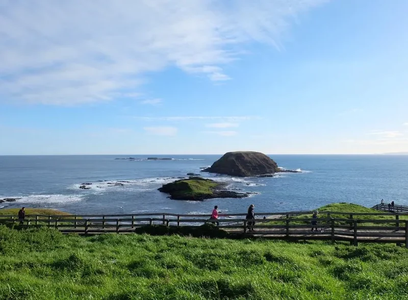 Cape Woolamai Beach