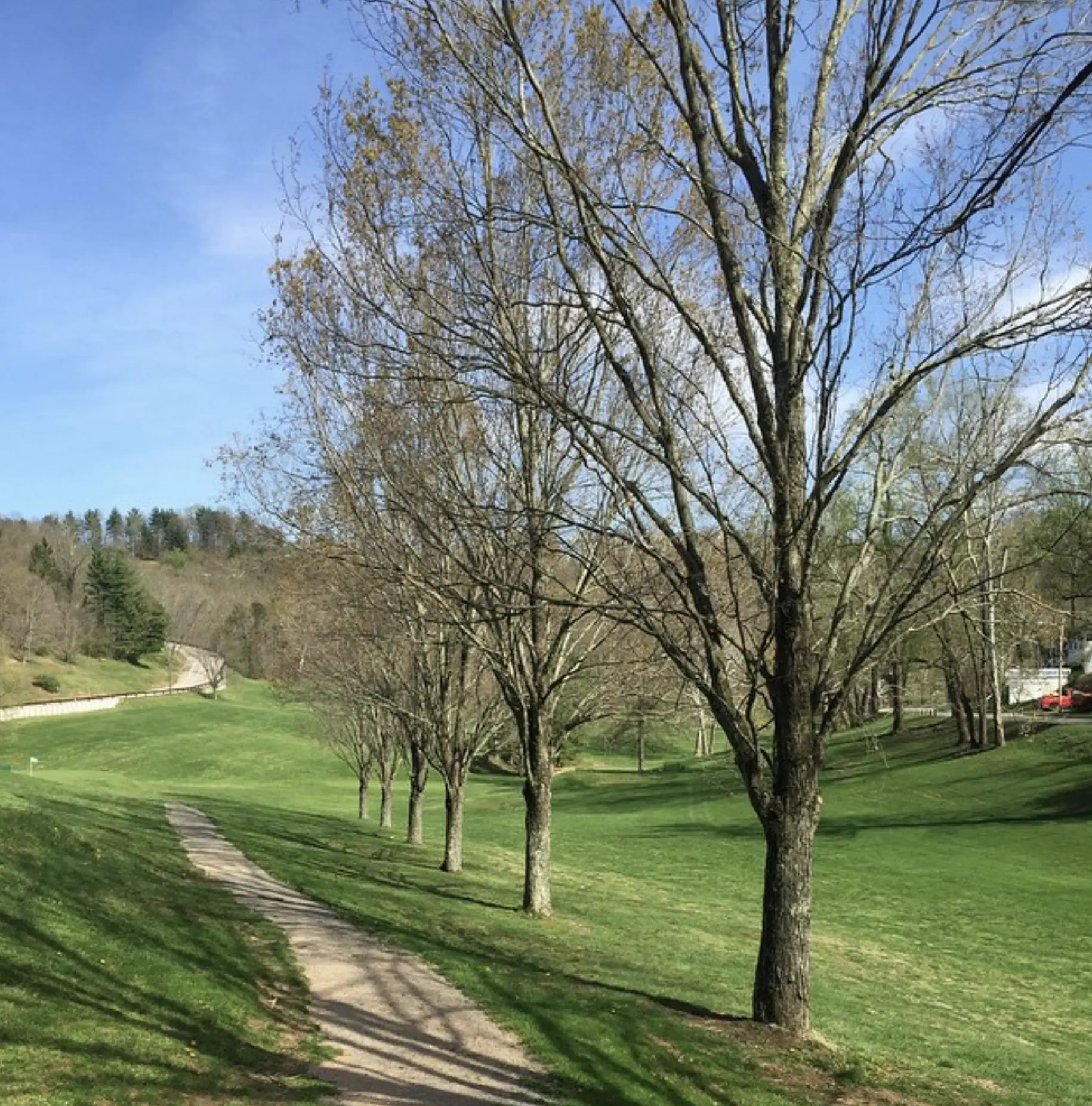 Cato Park