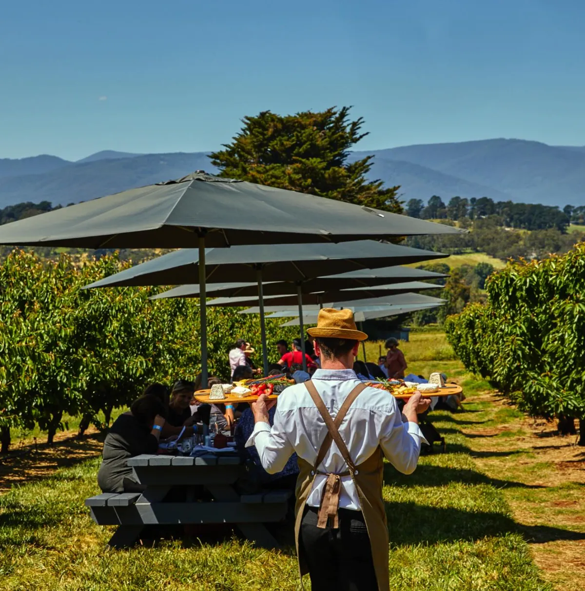 CherryHill Orchards