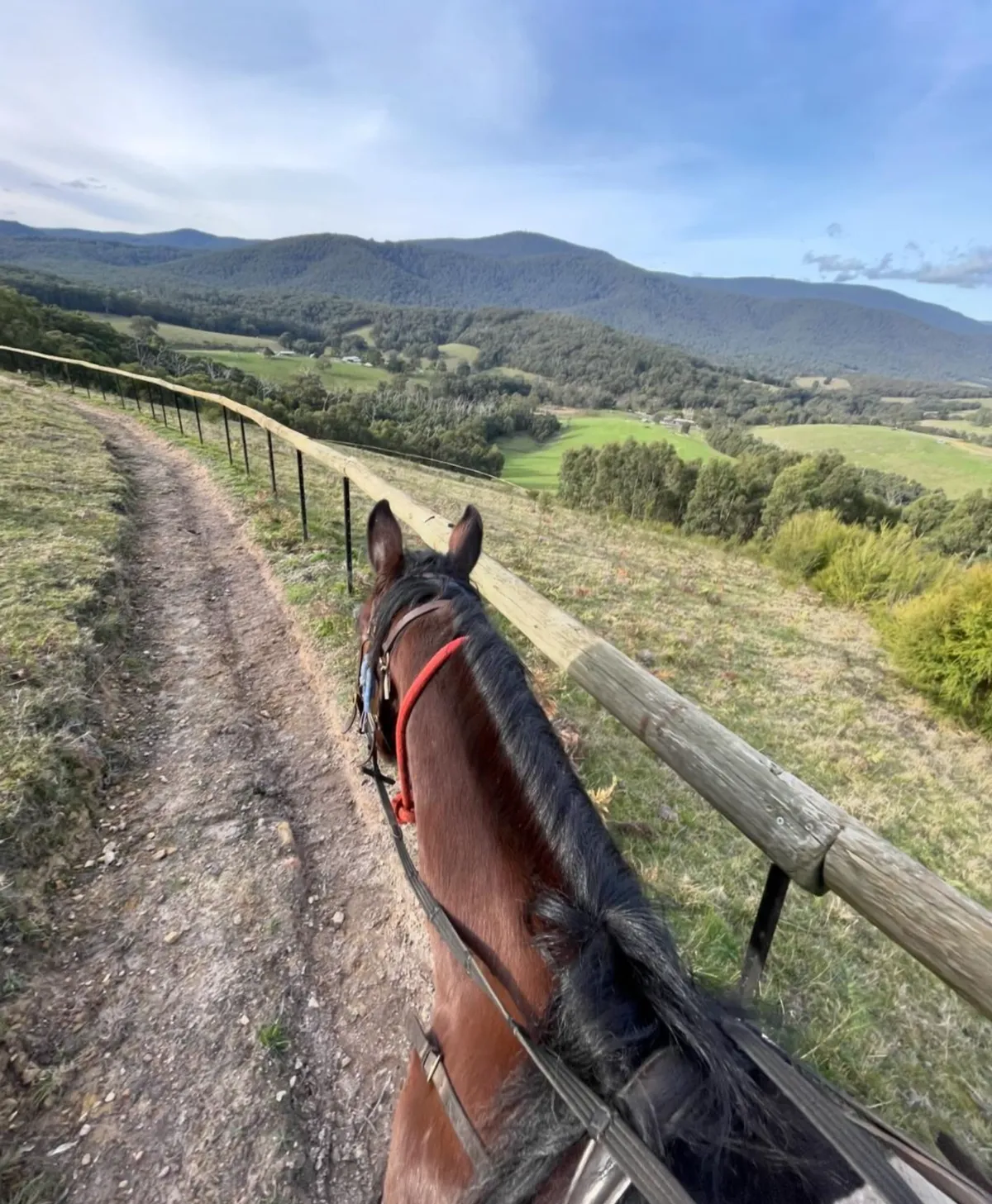 Chum Creek Horse Riding