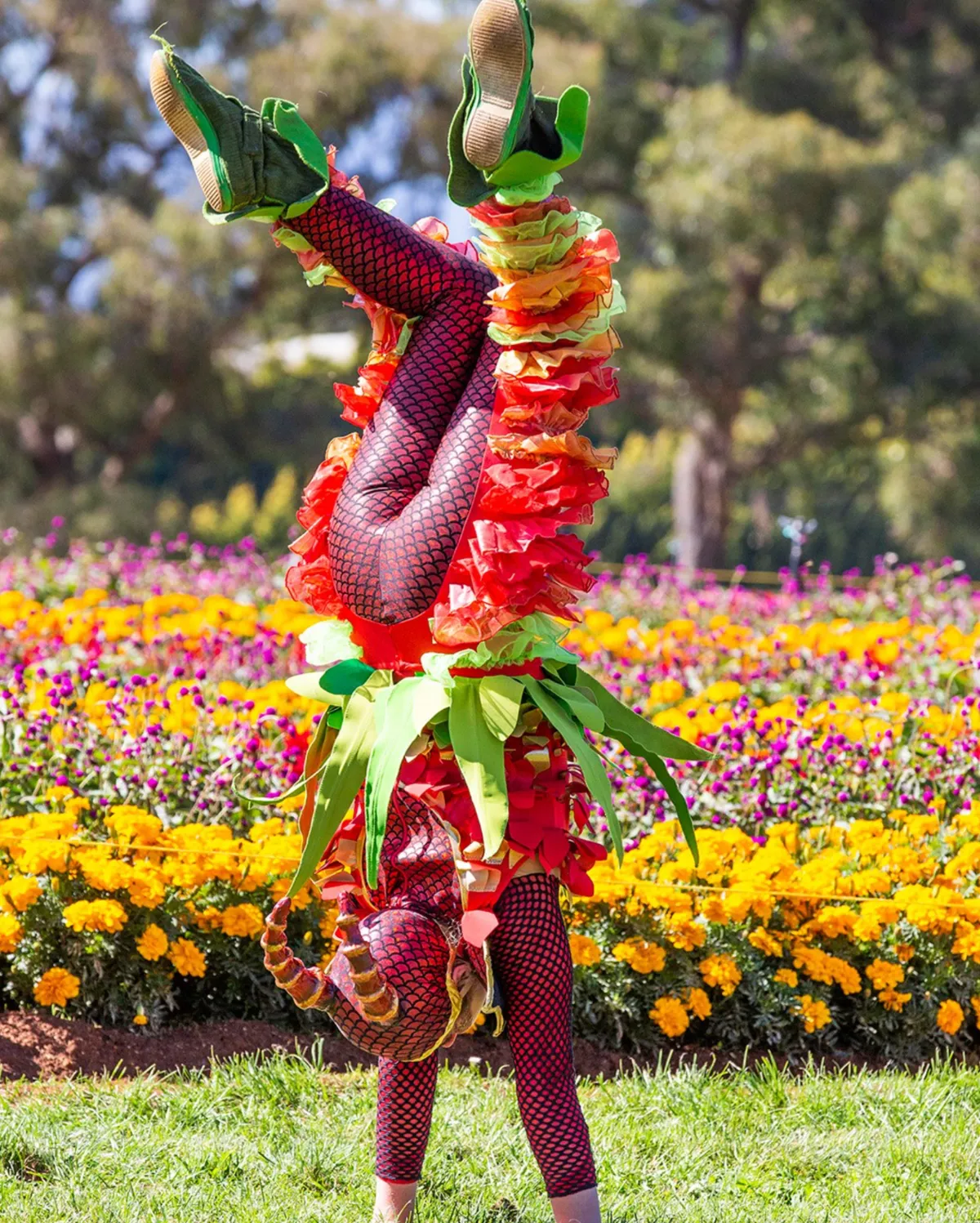 Circus Oz The Bonus Act