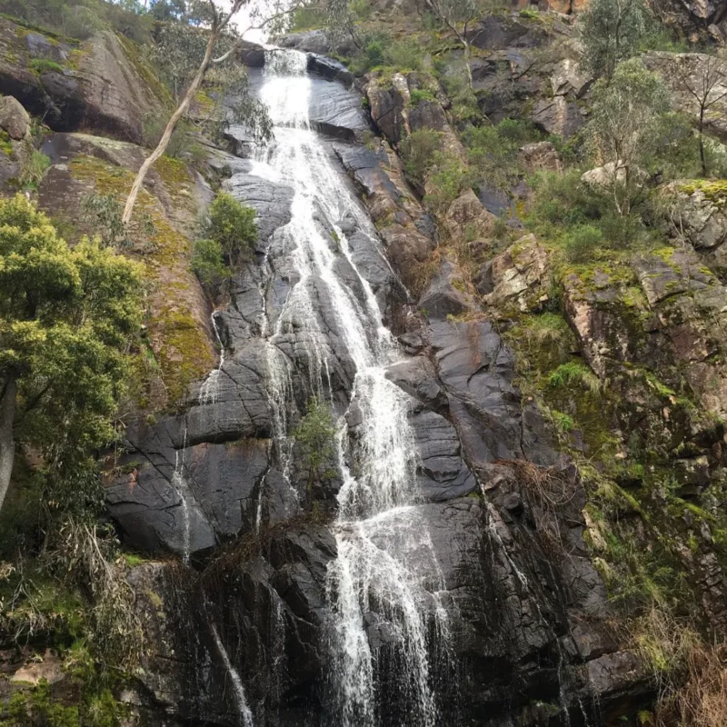 Clematis Falls