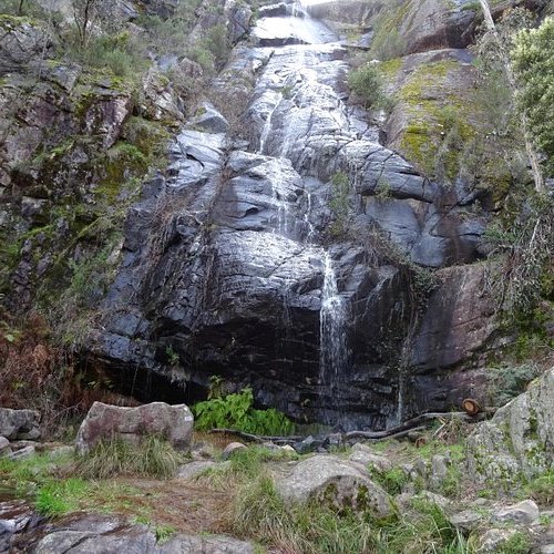Clematis Falls​ Tour