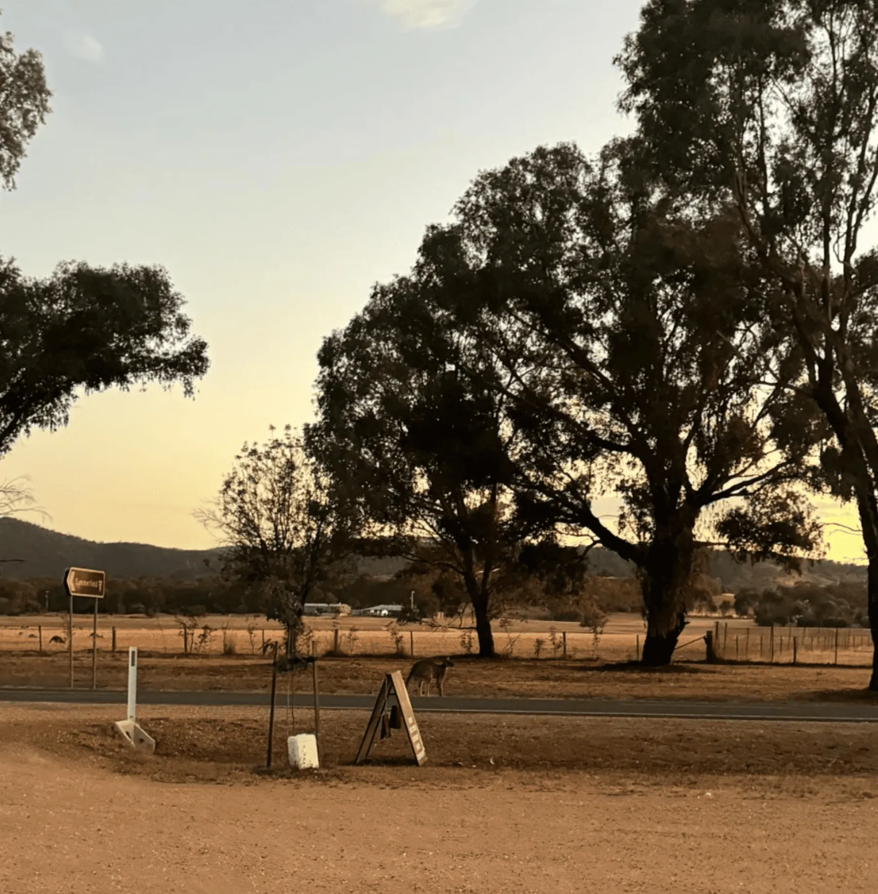 Climate and Terroir