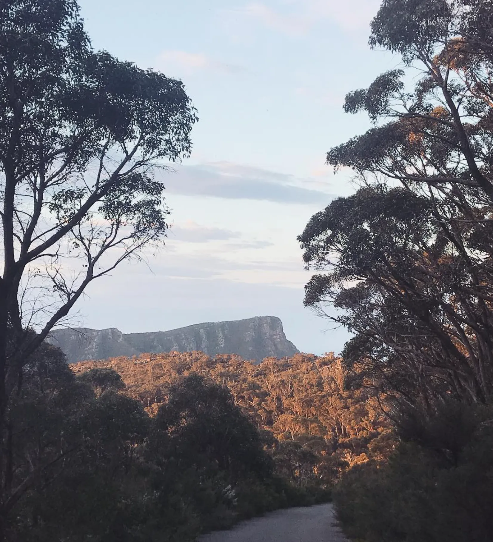 Climb Mount William