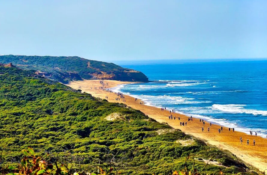 Coastal Land and Beaches