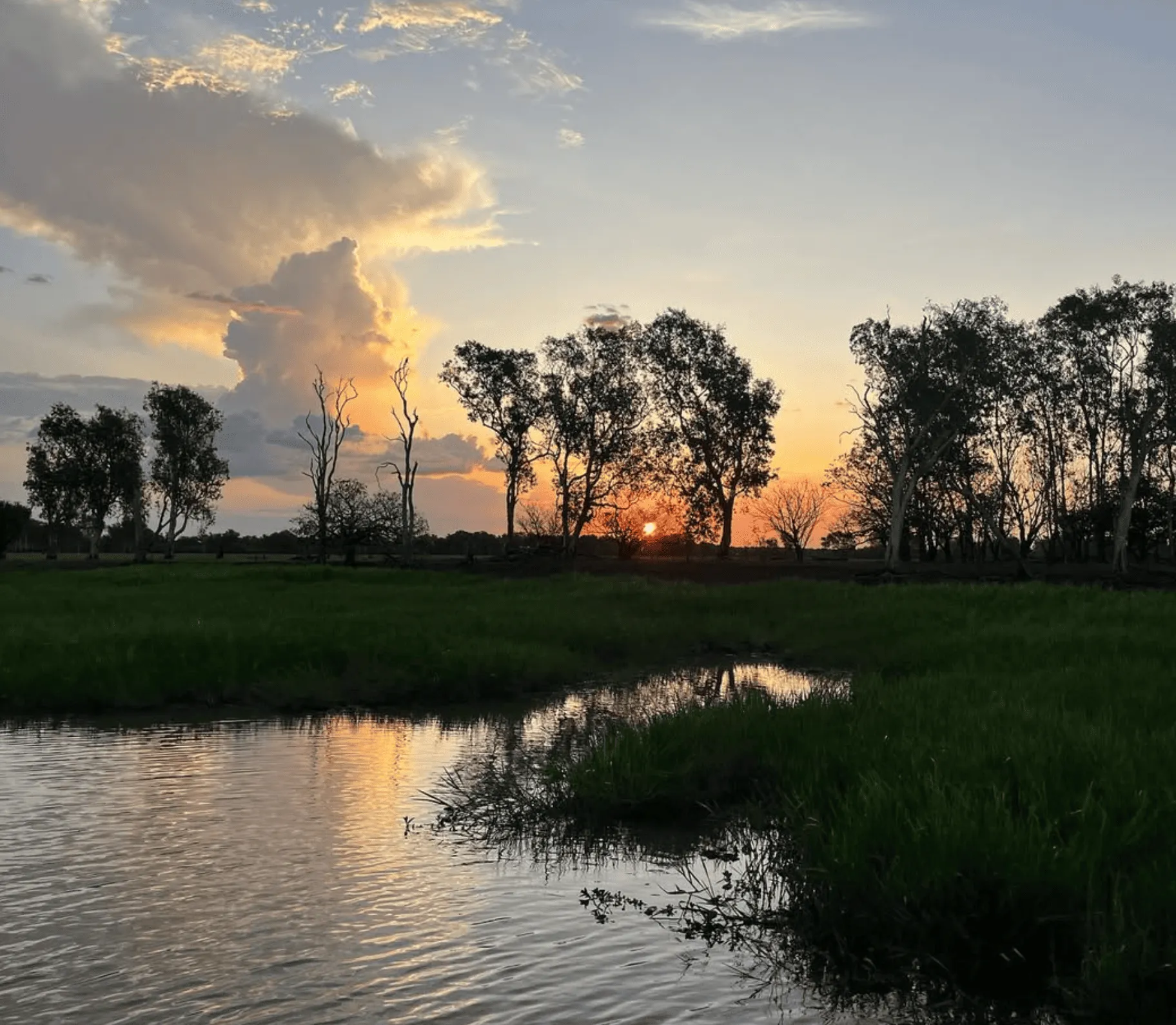 Conclusion South Alligator Region