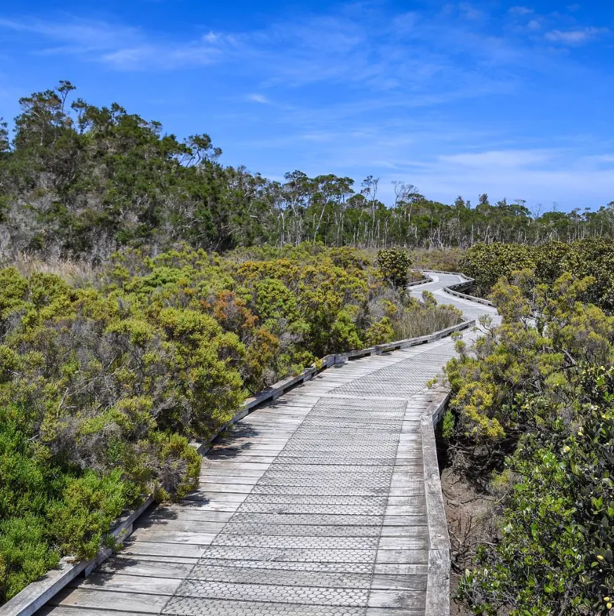 Conservation Hill to Rhyll Inlet