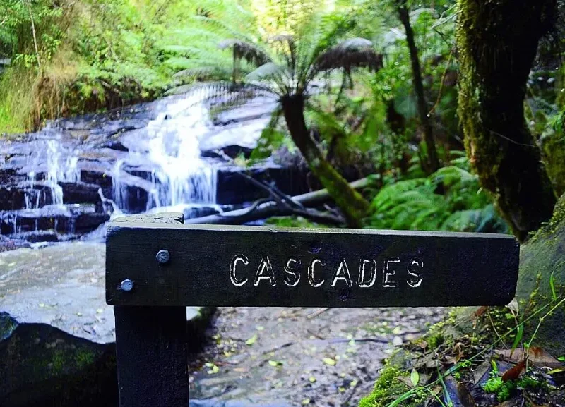 Cora Lynn Cascades Walk