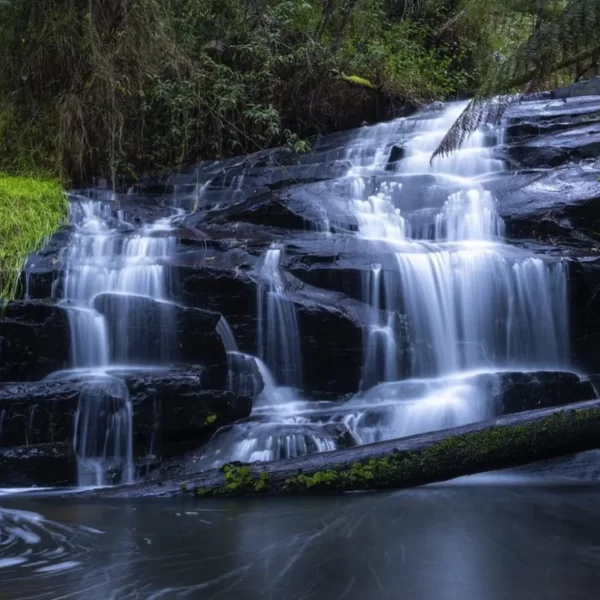 Cora Lynn Cascades​