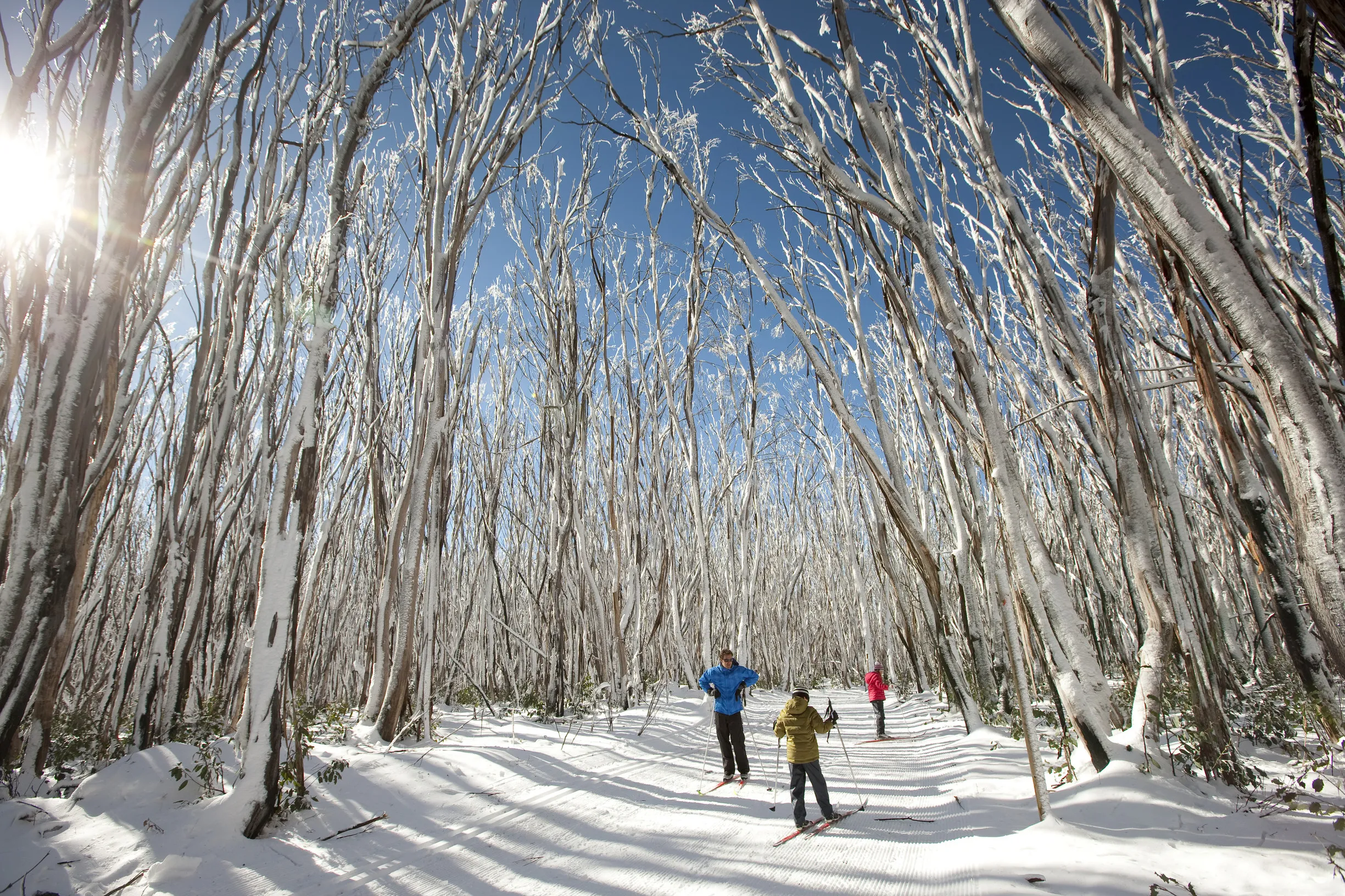 Cross-country skiing